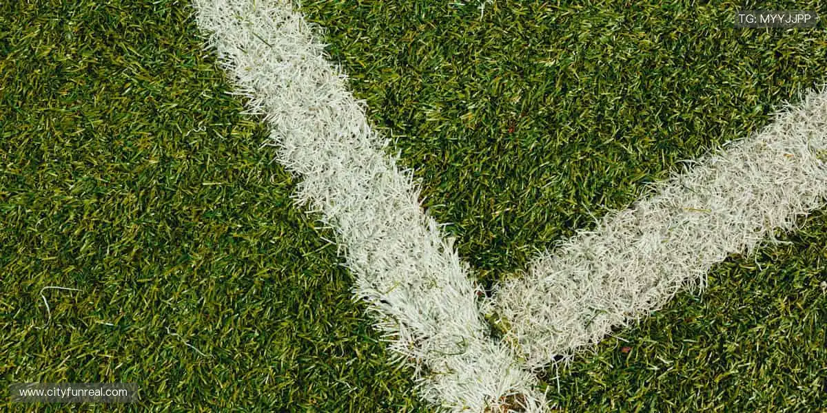 实时直播,超清体验📺